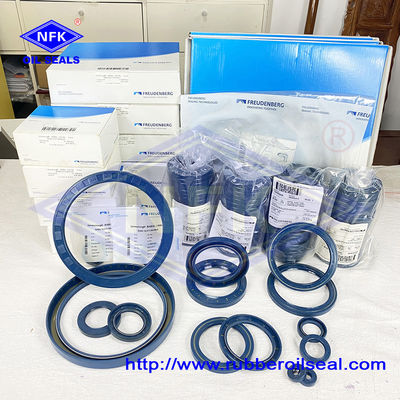 Aging Resistant Hydraulic Oil Seals