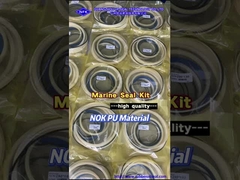 Морские нефтегазовые уплотнители Судно Гидравлическая стальная люк крышка цилиндр Ремонт уплотнитель комплект